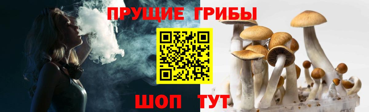 Биробиджан  Псилоцибиновые грибы GOLDEN TEACHER  Вход с VPN 